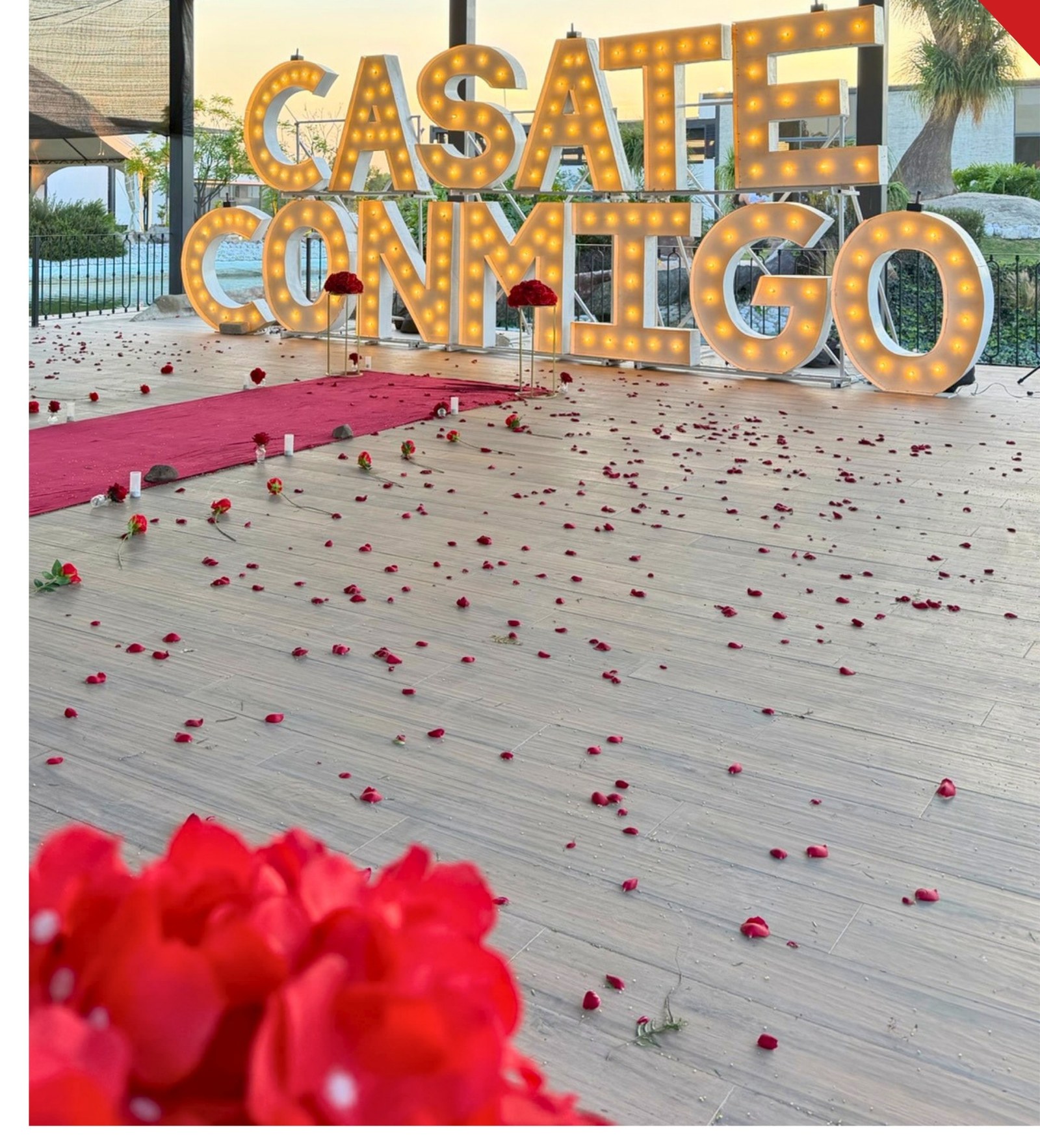 Cásate Conmigo Broadway: letras gigantes iluminadas y corazón de rosas para pedida de matrimonio en Querétaro — AYV Proposals