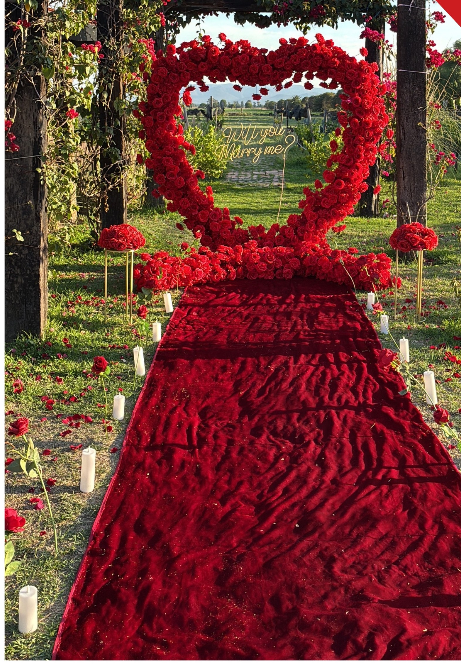 My Heart Red: corazón de rosas iluminado con letrero neón para pedida de matrimonio en Querétaro — AYV Proposals