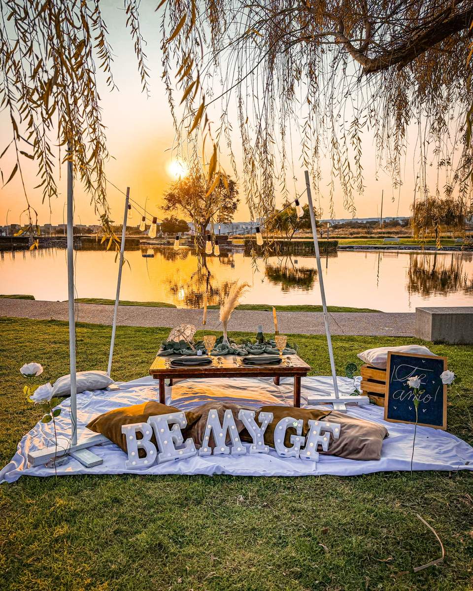 Picnics