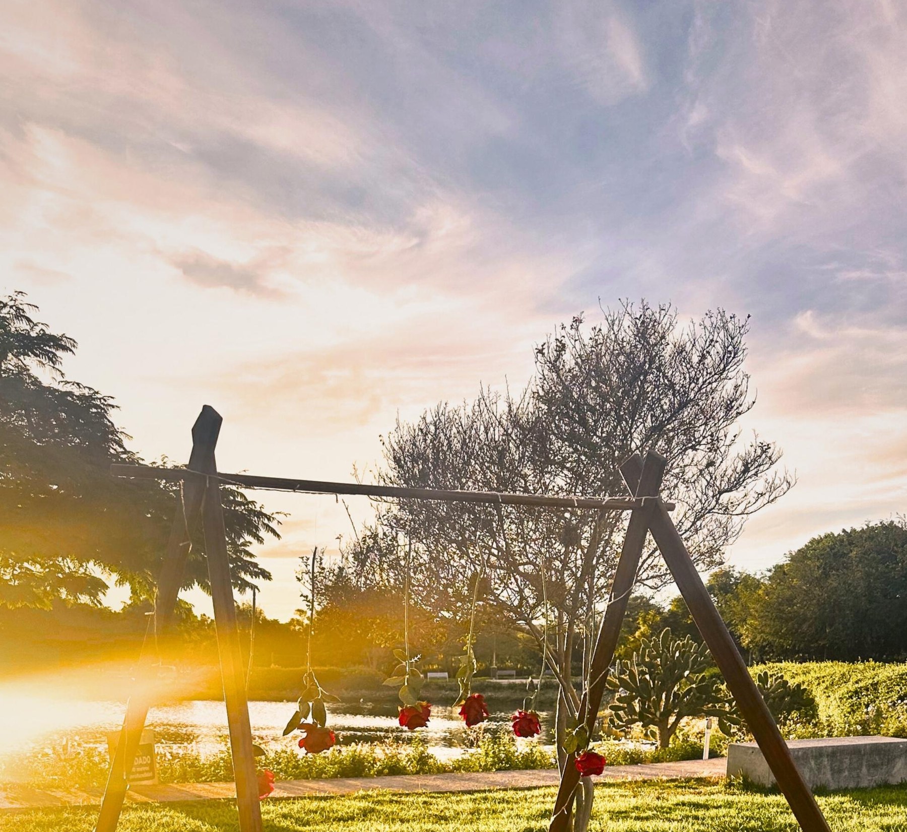 Romantic Lights: montaje romántico personalizado para citas y aniversarios en Querétaro — AYV Proposals